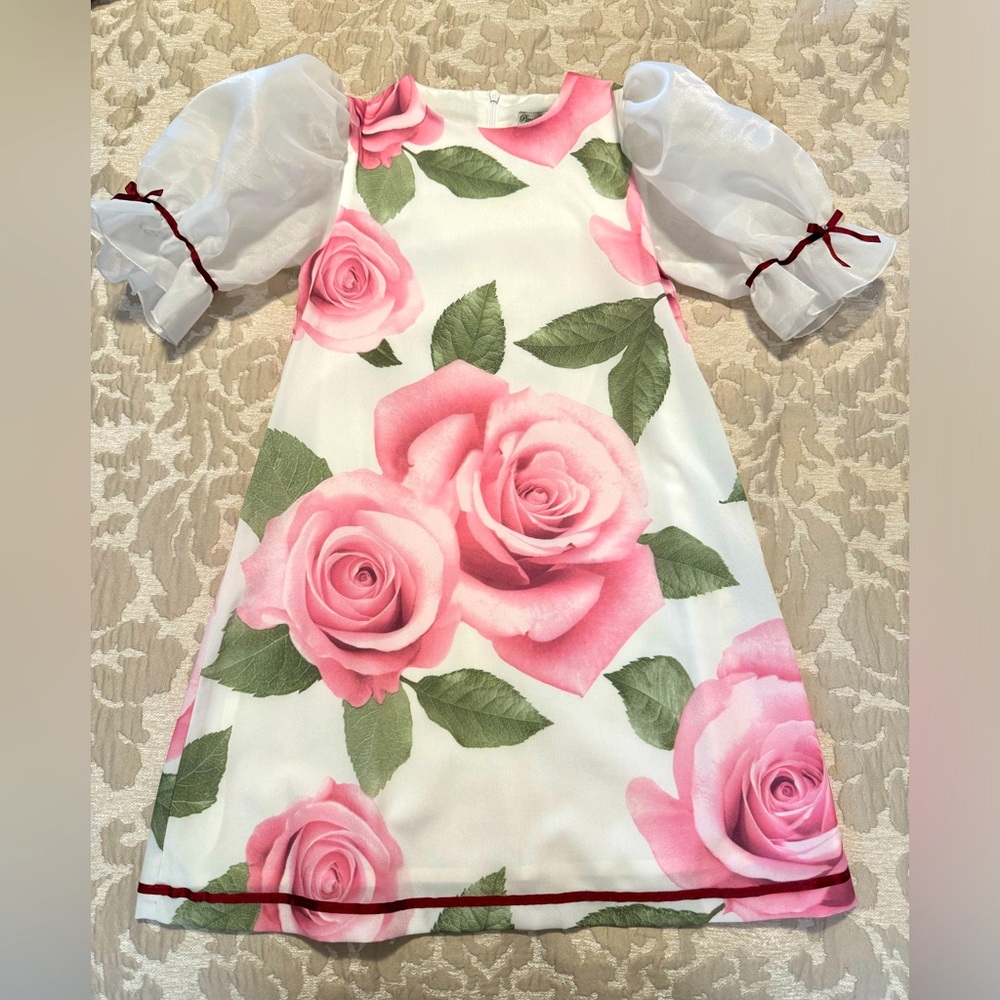 Girls Stunning Dress